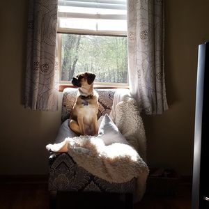 Meet your Posher, Hampton